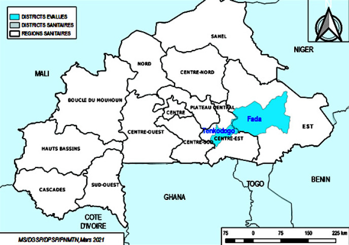 [Evaluation of therapeutic coverage of mass treatment campaign against lymphatic filariasis in two health districts in Burkina Faso].