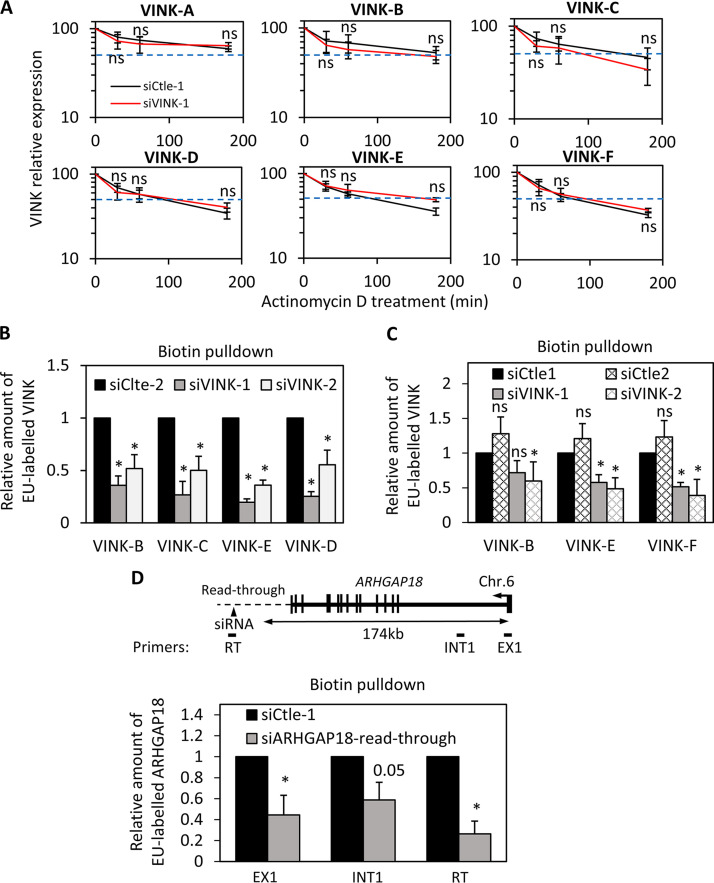 Small Interfering RNAs Targeting a Chromatin-Associated RNA Induce Its Transcriptional Silencing in Human Cells.