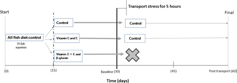 Nutritional feed additives reduce the adverse effects of transport stress in the immune system of Tambaqui (Colossoma macropomum)