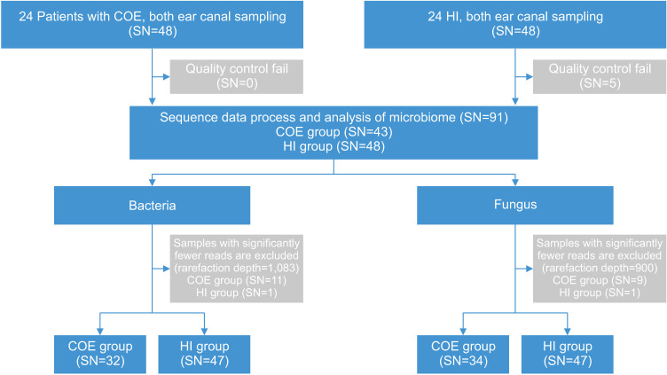 Analysis of the Microbiome of the Ear Canal in Normal Individuals and Patients with Chronic Otitis Externa.