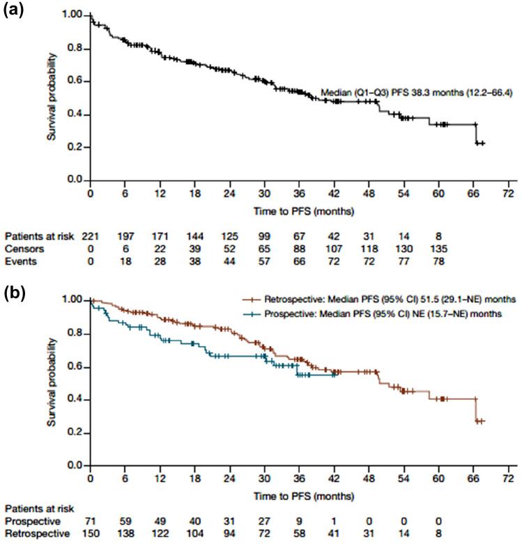 Effectiveness and Safety of Ibrutinib for Chronic Lymphocytic Leukemia in Routine Clinical Practice: 3-Year Follow-up of the Belgian Ibrutinib Real-World Data (BiRD) Study.