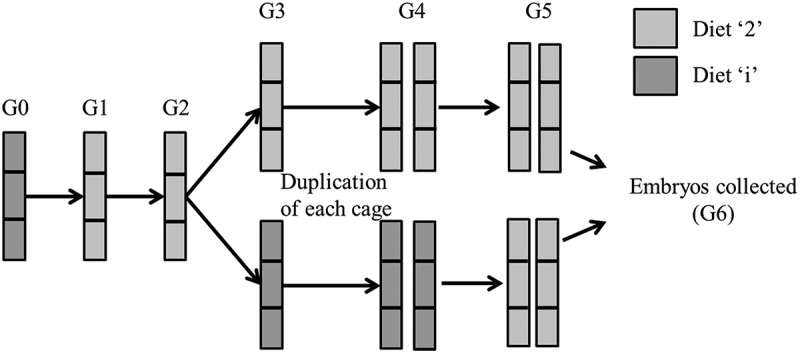 Ancestral dietary change alters the development of <i>Drosophila</i> larvae through MAPK signalling.