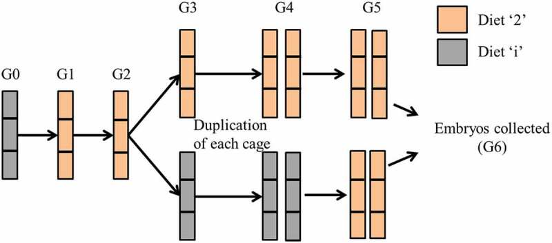 Ancestral dietary change alters the development of <i>Drosophila</i> larvae through MAPK signalling.