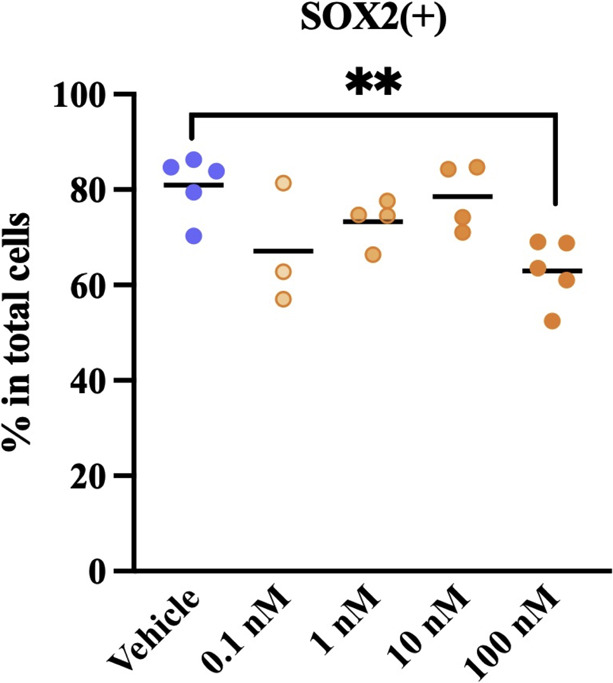 Low Doses of Bisphenol A Disrupt Neuronal Differentiation of Human Neuronal Stem/Progenitor Cells.