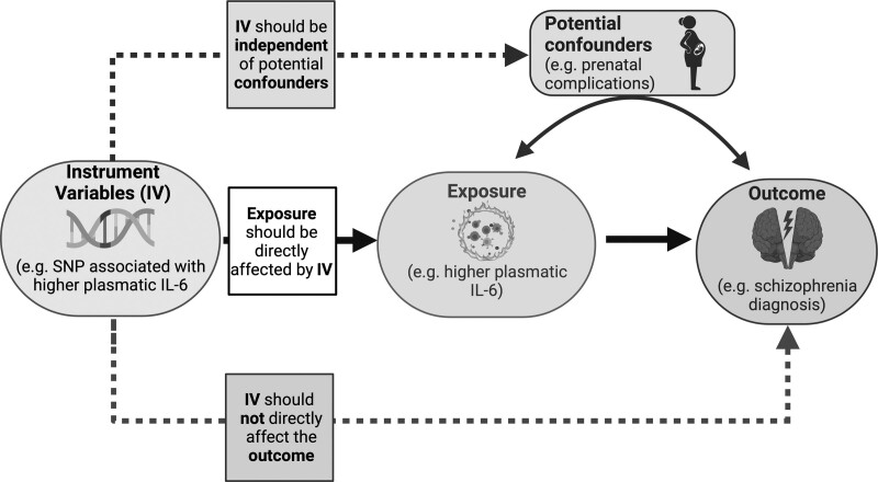 Applications of Mendelian randomization in psychiatry: a comprehensive systematic review.