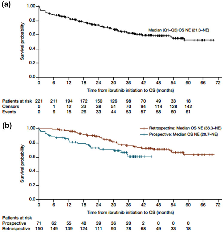 Effectiveness and Safety of Ibrutinib for Chronic Lymphocytic Leukemia in Routine Clinical Practice: 3-Year Follow-up of the Belgian Ibrutinib Real-World Data (BiRD) Study.