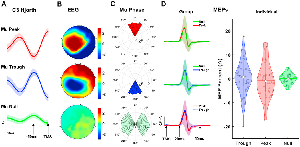 Phase matters when there is power: Phasic modulation of corticospinal excitability occurs at high amplitude sensorimotor mu-oscillations