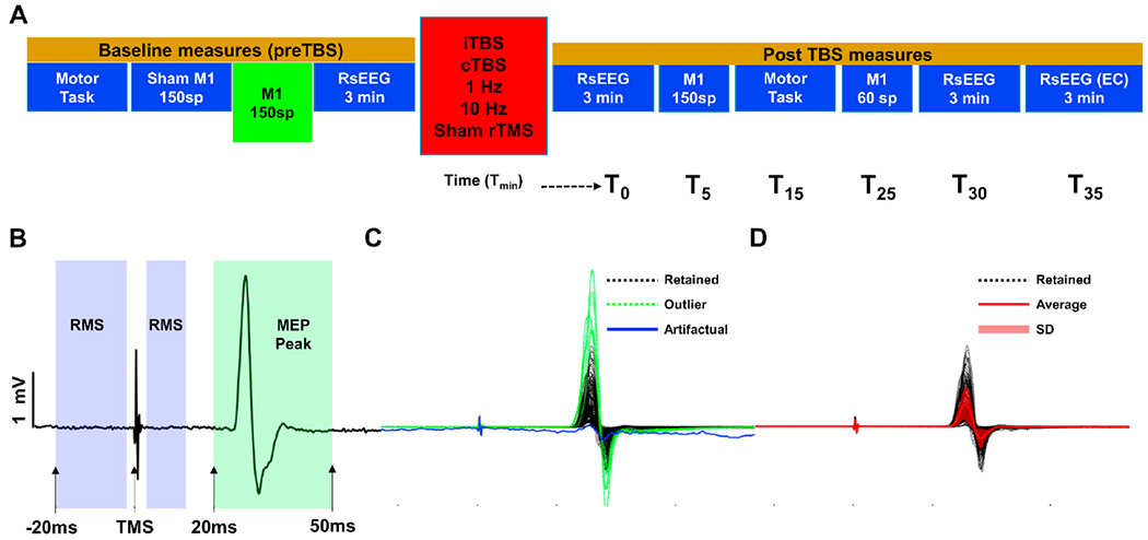 Phase matters when there is power: Phasic modulation of corticospinal excitability occurs at high amplitude sensorimotor mu-oscillations