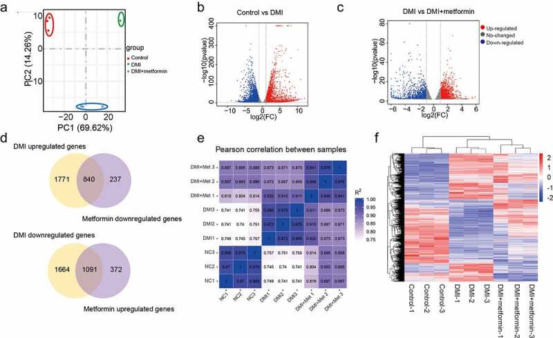 Regulatory network of metformin on adipogenesis determined by combining high-throughput sequencing and GEO database.