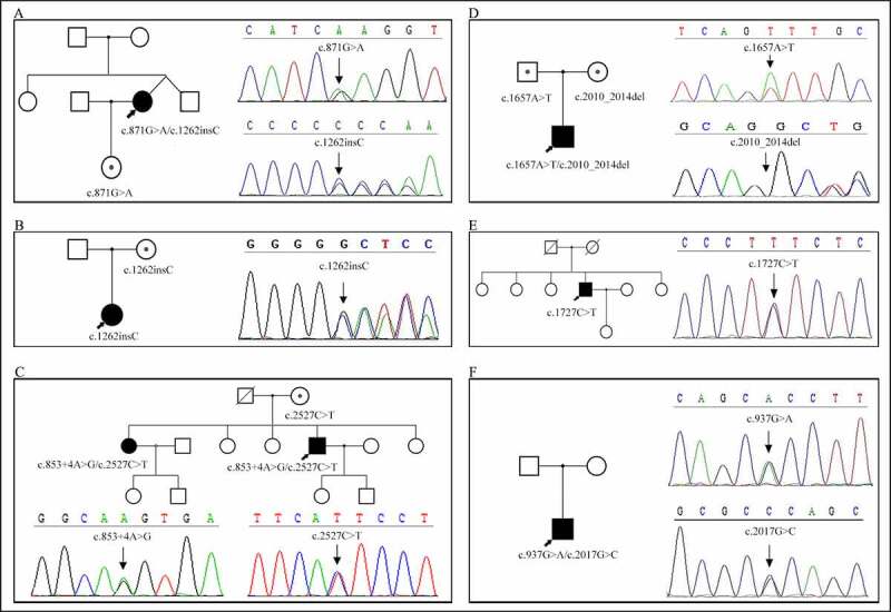 Clinical and molecular characteristics of myotonia congenita in China: Case series and a literature review.