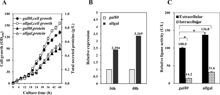 A new platform host for strong expression under GAL promoters without inducer in Saccharomyces cerevisiae