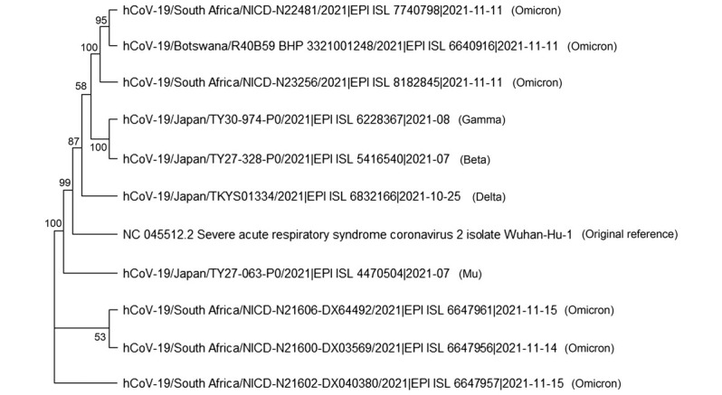 Omicron SARS-CoV-2 Variants in an <i>In Silico</i> Genomic Comparison Study with the Original Wuhan Strain and WHO-Recognized Variants of Concern.