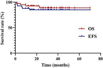 Allogeneic hematopoietic stem cell transplantation with the modified myeloablative conditioning regimen for children with chronic active Epstein-Barr virus infection.