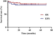 Allogeneic hematopoietic stem cell transplantation with the modified myeloablative conditioning regimen for children with chronic active Epstein-Barr virus infection.