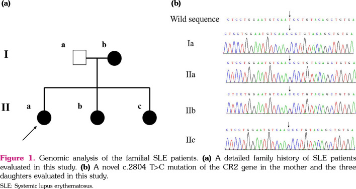 Identification of a novel mutation in complement receptor 2 in Chinese familial systemic lupus erythematosus.