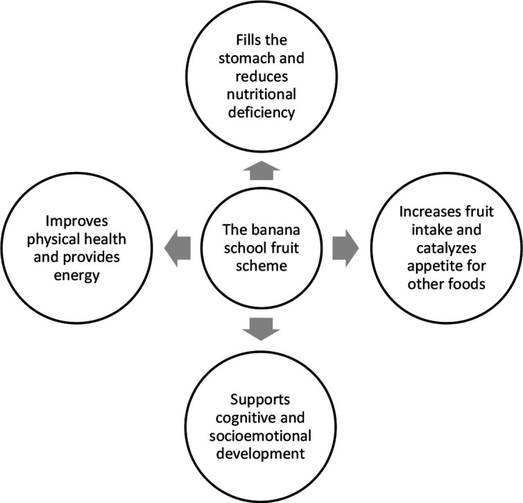 The banana project: a qualitative study of caregivers' and teachers' experiences of preschool children participating in a free banana school fruit scheme in rural Tanzania.