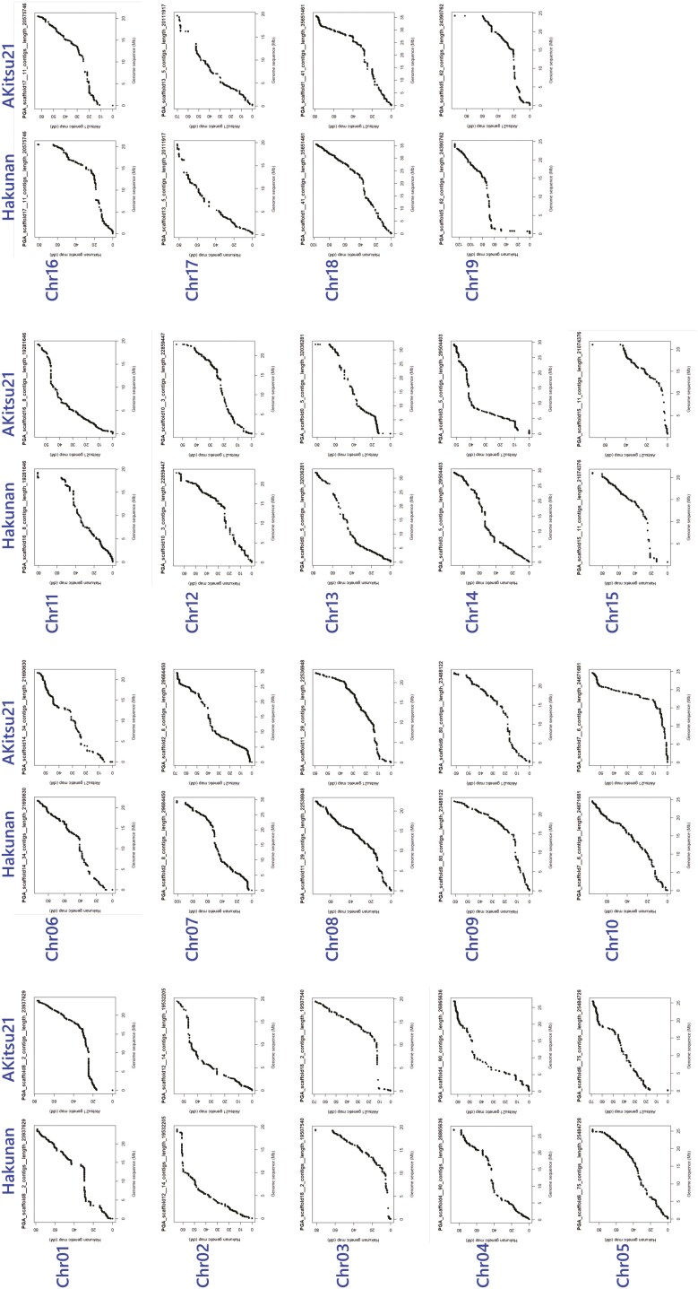 De novo whole-genome assembly in an interspecific hybrid table grape, 'Shine Muscat'.