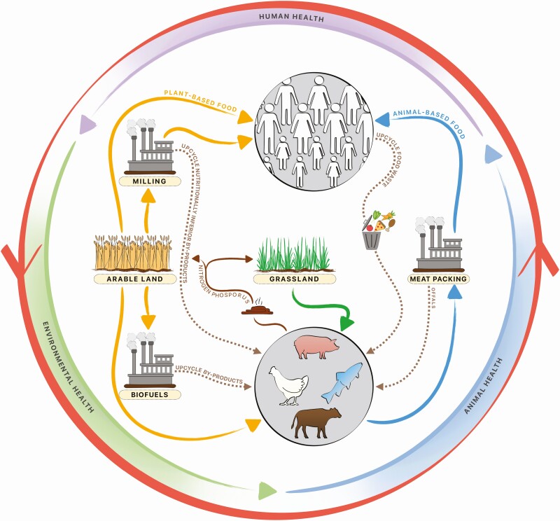 Sustainable swine feeding programs require the convergence of multiple dimensions of circular agriculture and food systems with One Health.