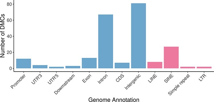 Effects of paternal methionine supplementation on sperm DNA methylation and embryo transcriptome in sheep.