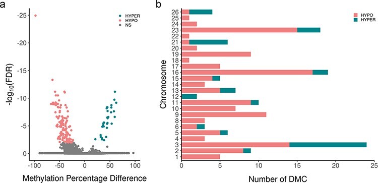 Effects of paternal methionine supplementation on sperm DNA methylation and embryo transcriptome in sheep.