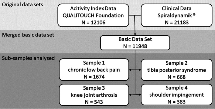 Applying patient-reported outcome measures (PROMs) in physiotherapy: an evaluation based on the QUALITOUCH Activity Index.