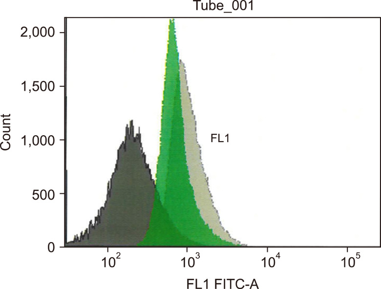 Red blood cells from COVID-19 patients suffer from increased oxidative stress and may have increased lactate influx.