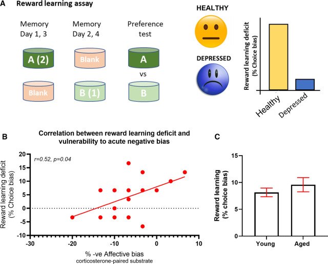 The importance of a multidimensional approach to the preclinical study of major depressive disorder and apathy.