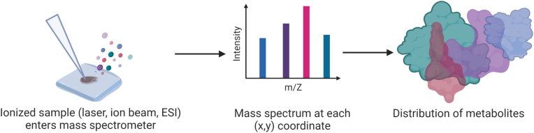 Metabolomics and modelling approaches for systems metabolic engineering