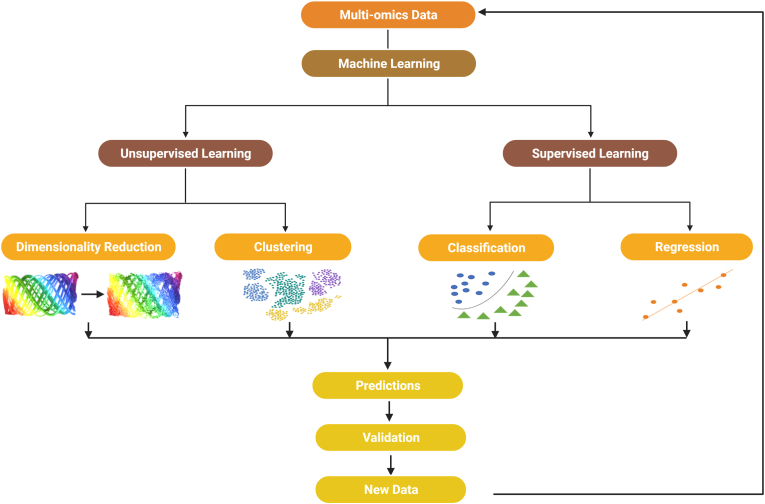 Metabolomics and modelling approaches for systems metabolic engineering