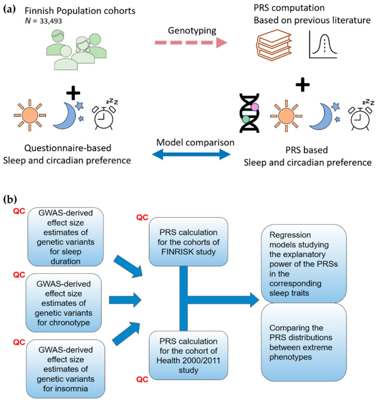 Portability of Polygenic Risk Scores for Sleep Duration, Insomnia and Chronotype in 33,493 Individuals.