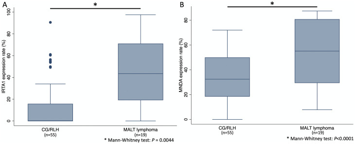 Immunohistochemistry for IRTA1 and MNDA helps differentiate gastric MALT lymphoma from chronic gastritis/reactive lymphocyte hyperplasia.