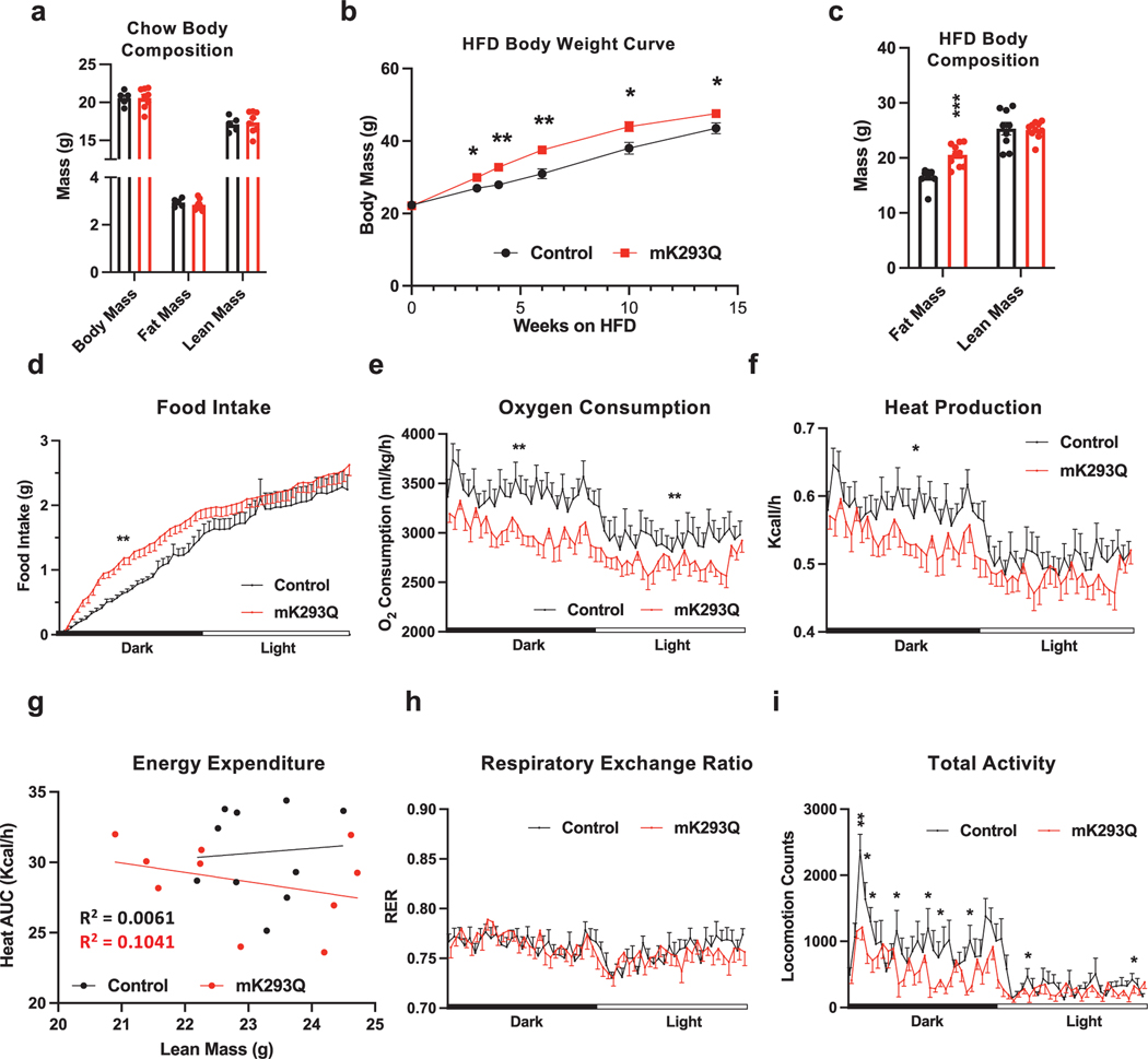 Acetylation of PPARγ in macrophages promotes visceral fat degeneration in obesity.