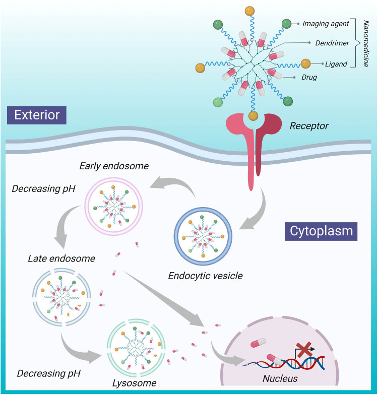 Nanotechnology-based drug delivery for the treatment of CNS disorders.