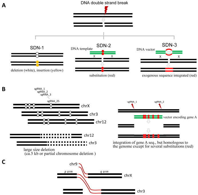 Japanese Regulatory Framework and Approach for Genome-edited Foods Based on Latest Scientific Findings.