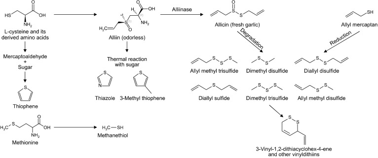 Determination of Aroma Characteristics of Commercial Garlic Powders Distributed in Korea via Instrumental and Descriptive Sensory Analyses.