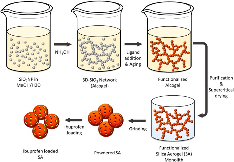 Amorphization and modified release of ibuprofen by post-synthetic and solvent-free loading into tailored silica aerogels.