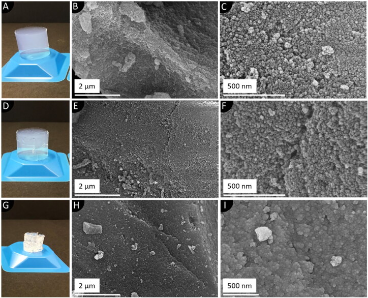 Amorphization and modified release of ibuprofen by post-synthetic and solvent-free loading into tailored silica aerogels.