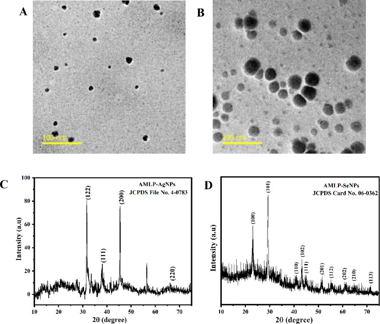 Effects of polysaccharide-based silver and selenium nanoparticles on growth performance, biochemical parameters, and immune response of Cyprinus carpio