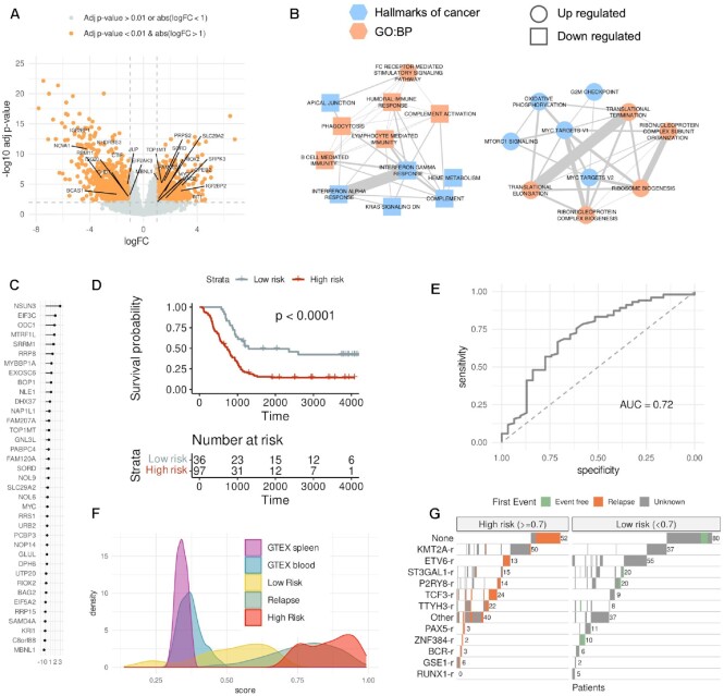 A convergent malignant phenotype in B-cell acute lymphoblastic leukemia involving the splicing factor SRRM1.