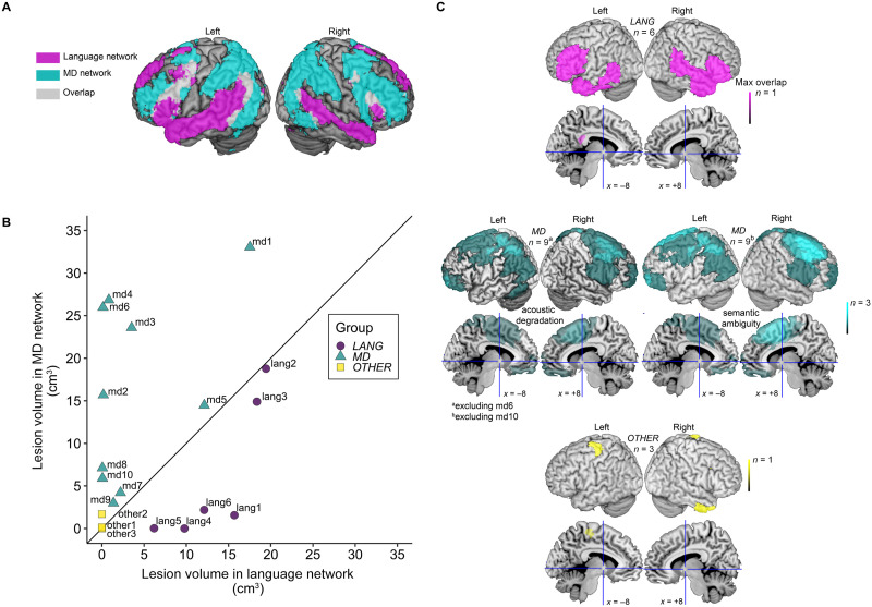 Causal Contributions of the Domain-General (Multiple Demand) and the Language-Selective Brain Networks to Perceptual and Semantic Challenges in Speech Comprehension.