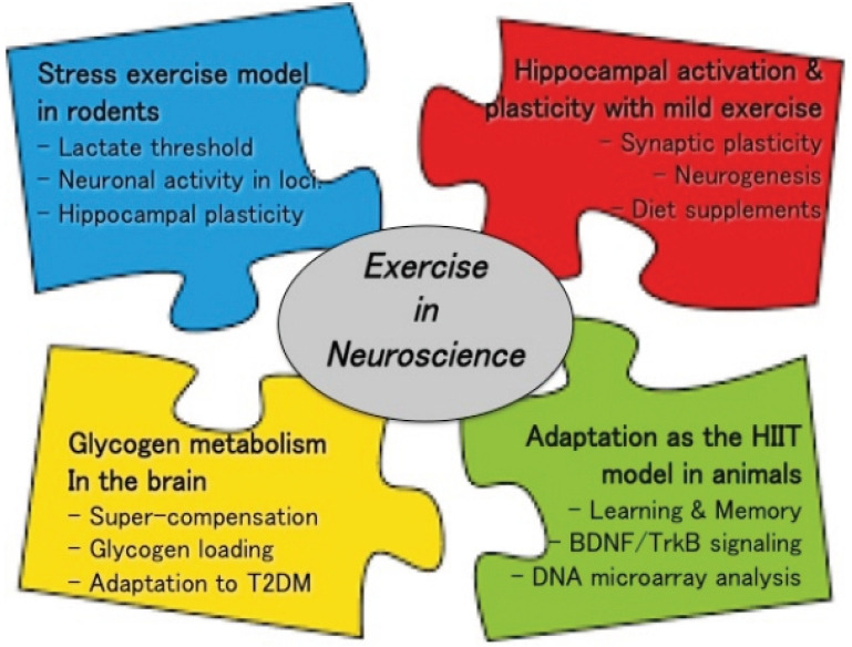 Exercise-brain interaction of neuroplasticity: empirical evidence in the rodent adaptation.