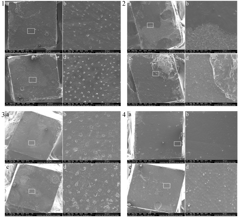 Bond strength of two universal adhesive systems to human dentin using different strategies.