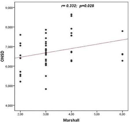 The Clinical Importance of Optic Nerve Sheath Diameter in Patients with Traumatic Brain Injury: Preliminary Report.