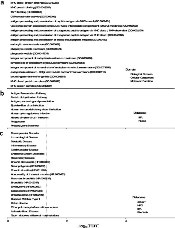 Duration of exposure to epidural anesthesia at delivery, DNA methylation in umbilical cord blood and their association with offspring asthma in Non-Hispanic Black women.