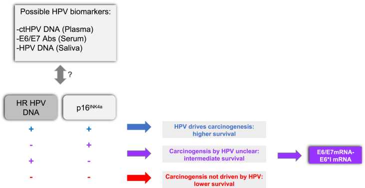 HPV and head and neck cancers: Towards early diagnosis and prevention