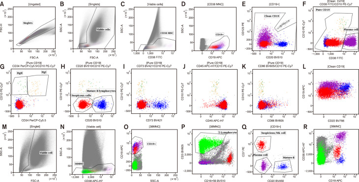 NK-cell trogocytosis of CD19 antigen: a rare B-ALL MRD mimicker.