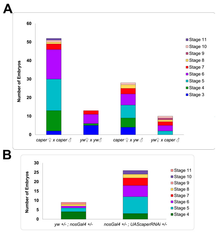 Roles for the RNA-Binding Protein Caper in Reproductive Output in <i>Drosophila melanogaster</i>.