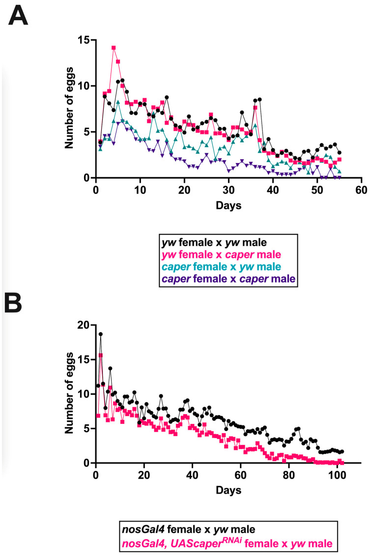 Roles for the RNA-Binding Protein Caper in Reproductive Output in <i>Drosophila melanogaster</i>.