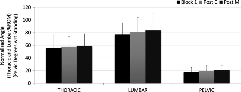 The effect of lumbar spinal manipulation on biomechanical factors and perceived transient pain during prolonged sitting: a laboratory-controlled cross-sectional study.