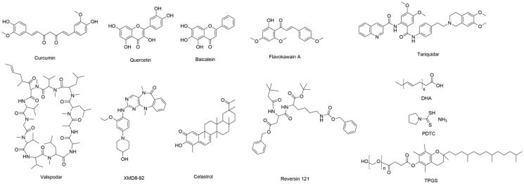 Recent advances in anti-multidrug resistance for nano-drug delivery system.